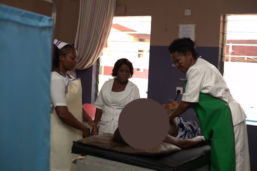 Maternal care simulation
